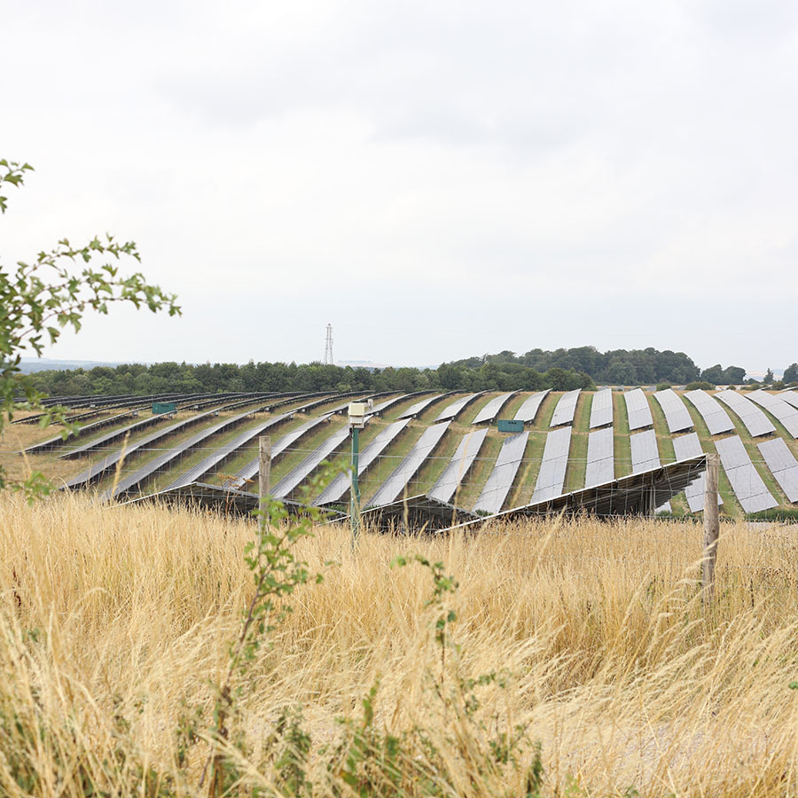 Solar farm