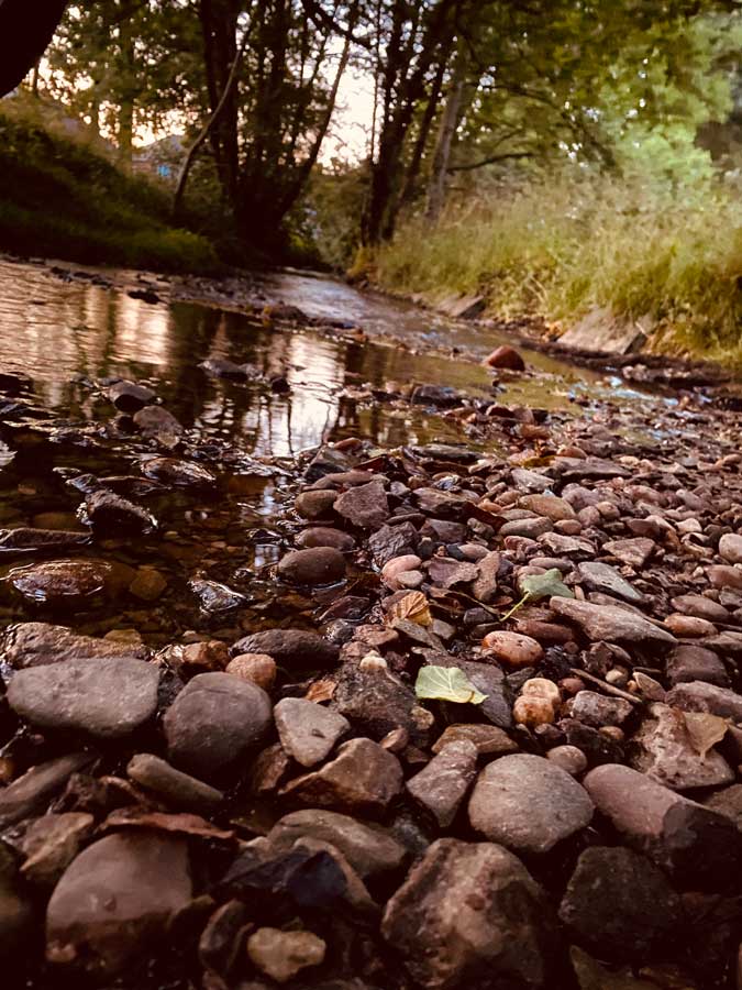 View of Brook