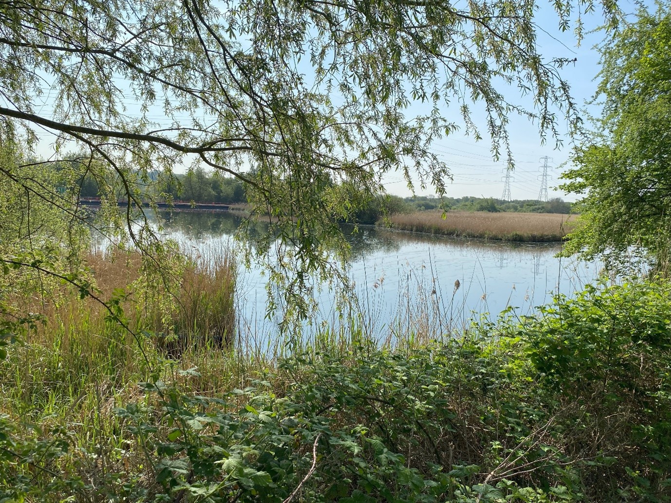 Turnford and Cheshunt Pits SSSI Lake with marginal plants and trees.